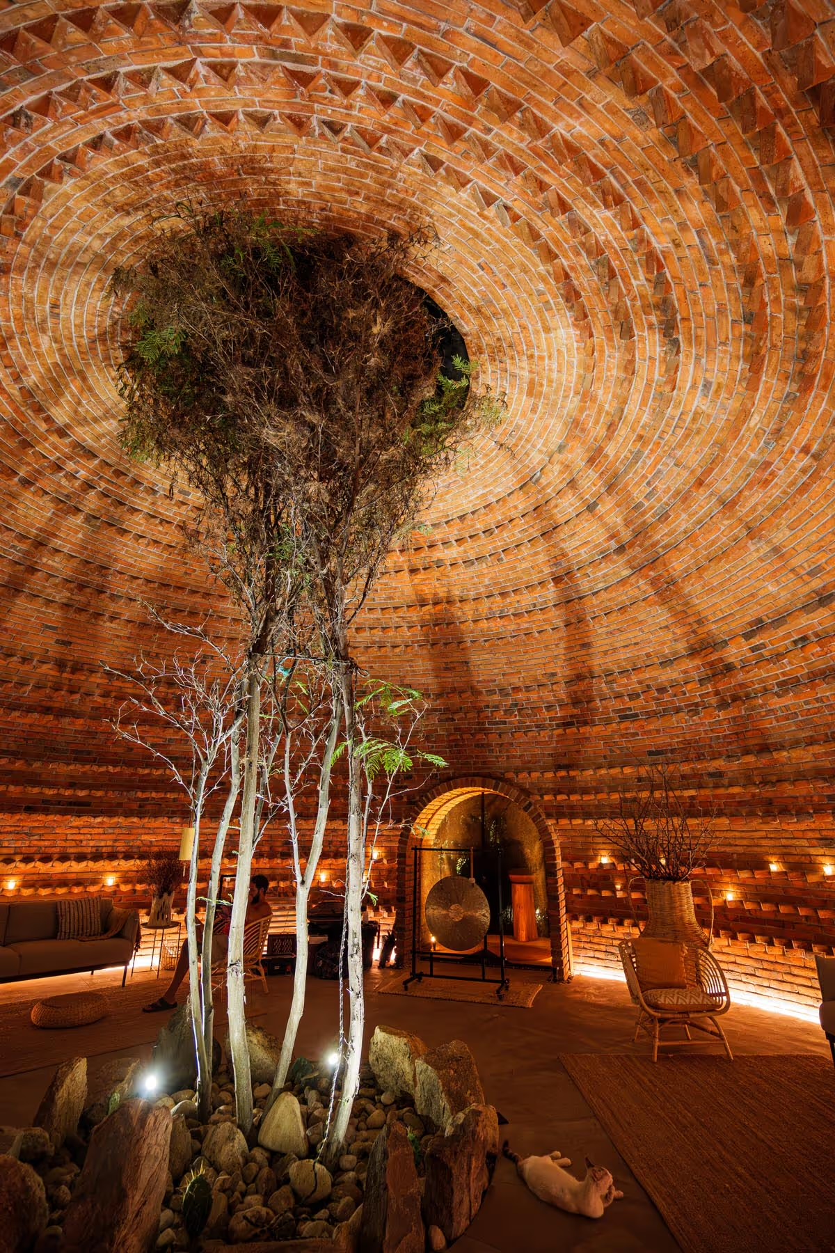 A living tree rising through the Tree Shala